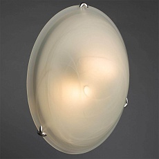 Потолочный светильник Arte Lamp Luna A3440PL-2CC 3