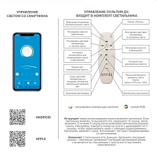 Потолочный светильник Rivoli Kora 6048-106 Б0052650 3