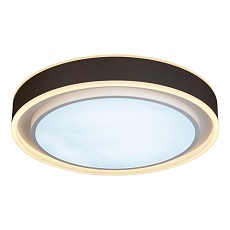 Потолочный светодиодный светильник iLedex Summery B6233-91W/520 WH 5