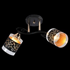 Потолочный светильник Reluce 01295-0.3-02 BK+FGD 3