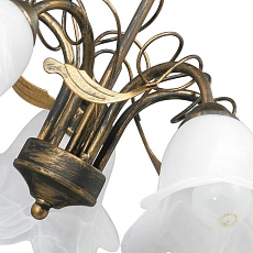 Потолочная люстра Vitaluce V3609/5 1