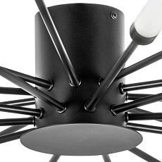 Потолочная люстра Lightstar Ragno 732207 4
