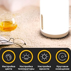 Настольная лампа Xiaomi MJCTD02YL MUE4093GL 1