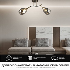 Потолочная люстра Seven Fires Koul SF3329/2C-CF-FGD-SMK 2