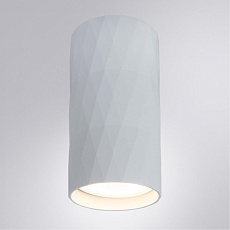 Потолочный светильник Arte Lamp Fang A5557PL-1WH 2
